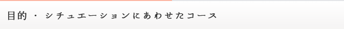 目的・シチュエーションにあわせたコース